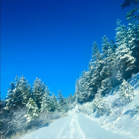 Meet your Posher, Larissa - Picture 5 of 5